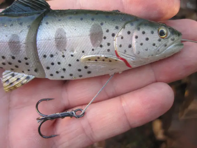 3d line thru trout savage gear (10)