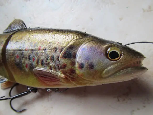 4 line trhur trout savage gear (11)