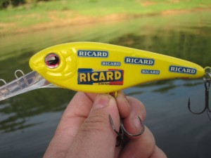 Ricard (7)