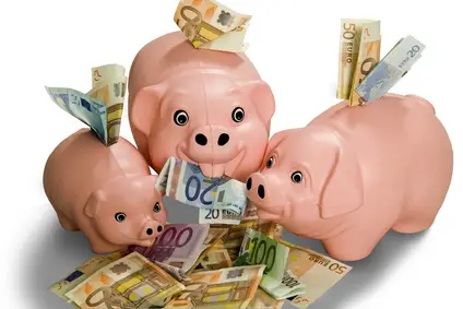 cochons tirelire et euros détourée 12