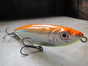 backlip herring (1)