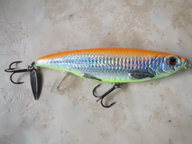 backlip herring (12)