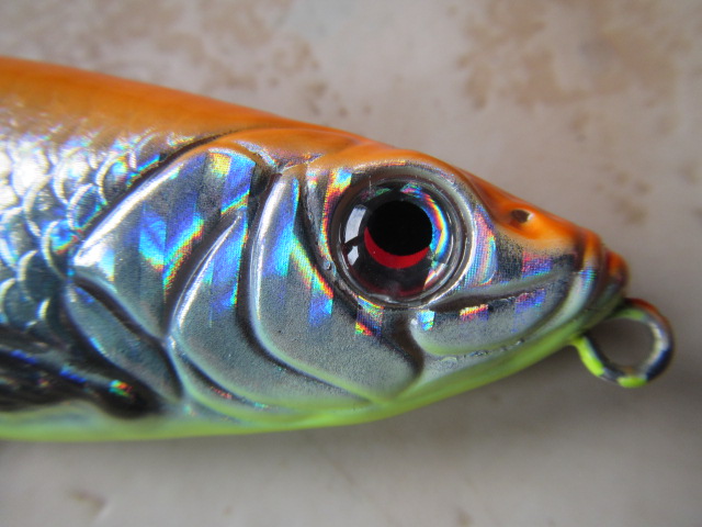 backlip herring (3)