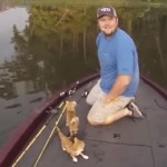 Vidéo: Sauvetage de deux chatons par des pêcheurs