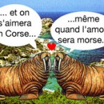 corse corse