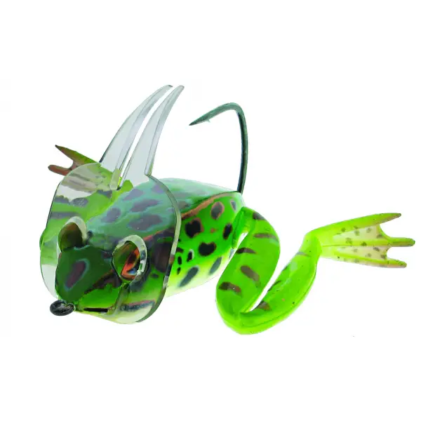 dahlberg-diver-frog