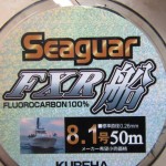 Le fluorocarbone FXR de Seaguar