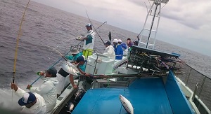 japonais pêche thon pro