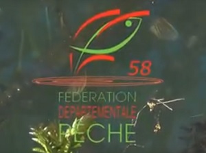 logo-fede-58-video