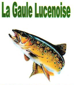 logo gaule Lucenoise