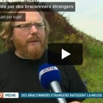 Vidéo: Des braconniers étrangers pillent la Meuse