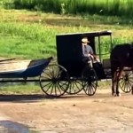 Vidéo: Une mise à l’ eau Amish ( à cheval)