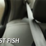mon premier poisson mon premier poisson