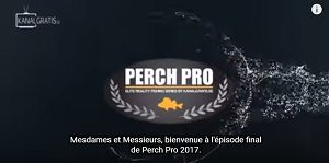 perch pro 2017