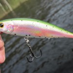 pointer-SSR pointer-SSR