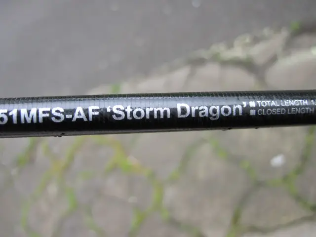 steez ags storm dragon daiwa (2)