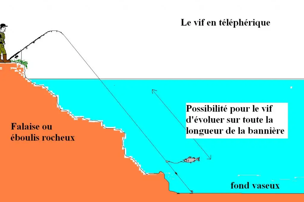 montage peche du sandre au vif