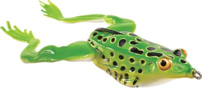 3d frog