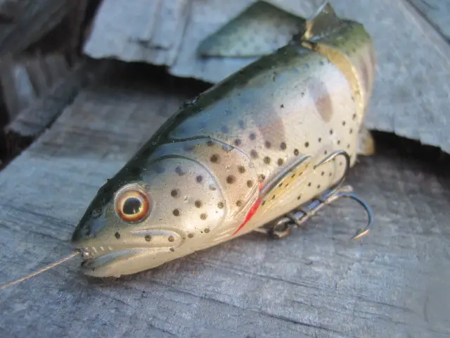 3d line thru trout savage gear (6)