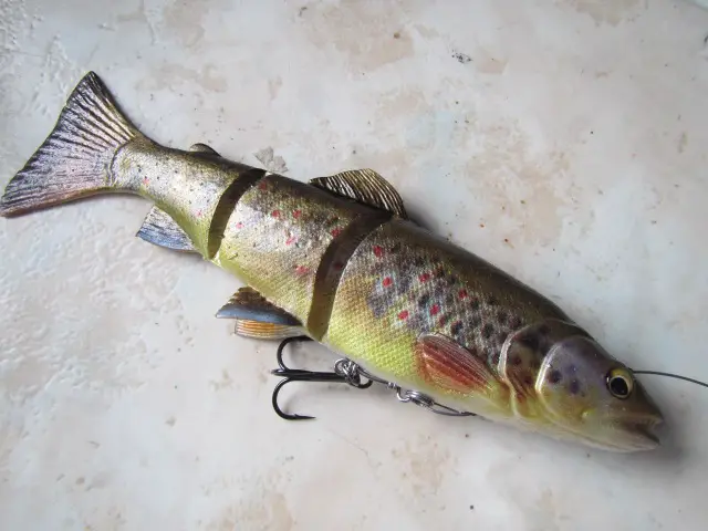 4 line trhur trout savage gear (1)