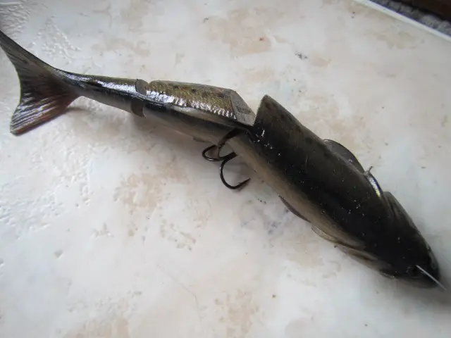 4 line trhur trout savage gear (19)