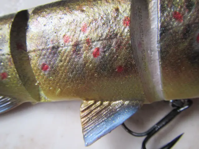 4 line trhur trout savage gear (9)