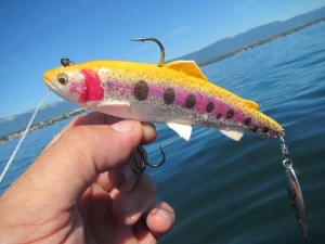 4d trout spin shad savage gear (5)