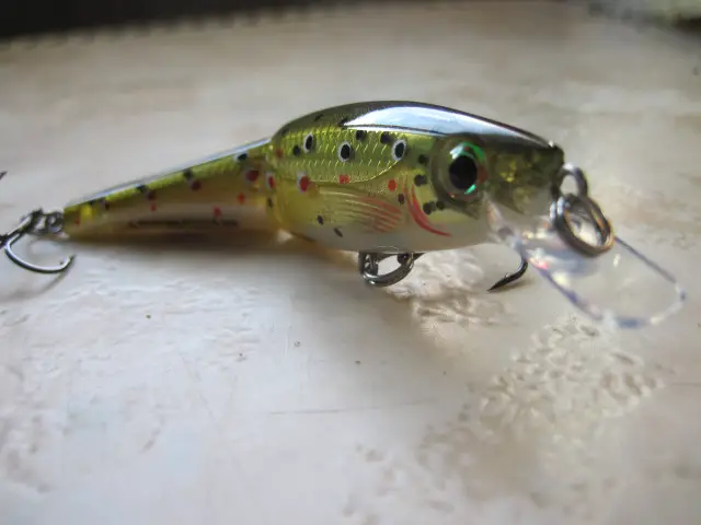 BX jointed minnow rapala (1)