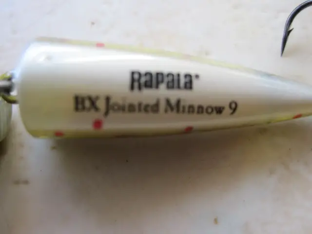 BX jointed minnow rapala (4)