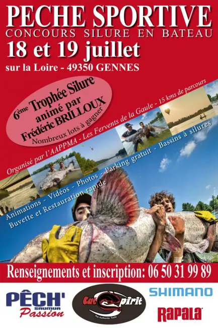 Concours-Silure-18-190715