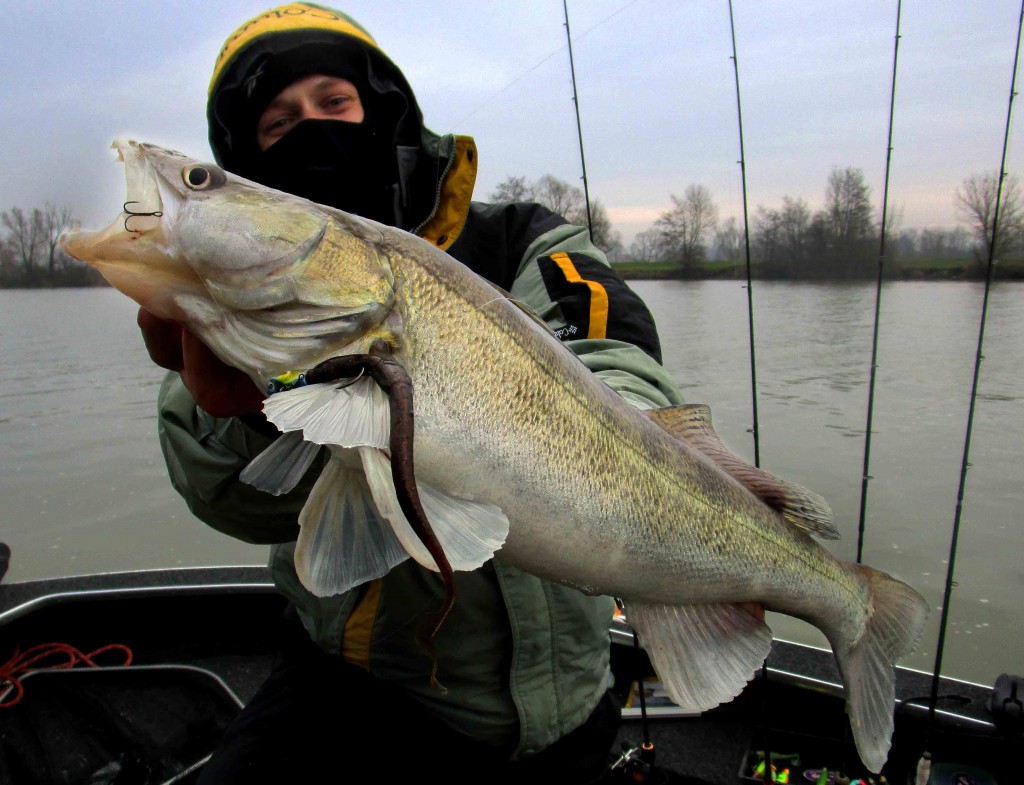 Esox-Froid Fish sur worm 25