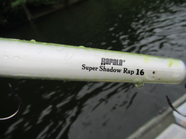 Super shadow rap rapala (2)