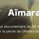 Vidéo: Pêche de l’ aïmara sur peche-tv.com