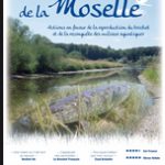 Annexes hydrauliques / Reproduction du brochet rivière Moselle
