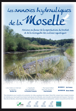 annexes Moselles 20 01 2017