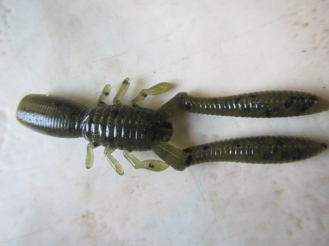 bottle shrimp megabass (2)