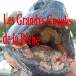 Les GG de la pêche de novembre : FNPF, Fédés, AAPPMA, pour ou contre une refonte du système pêche en France ?