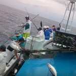 Vidéo: Pêche pro du thon à la canne