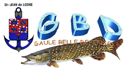 logo-gbd-2013