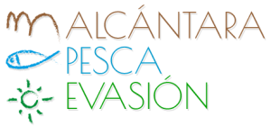 logo_alcantara