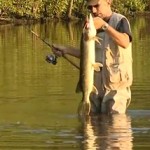 Vidéo: Pêche du brochet, pêche fantastique