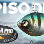 Vidéo: Perch pro saison 6 épisode 1