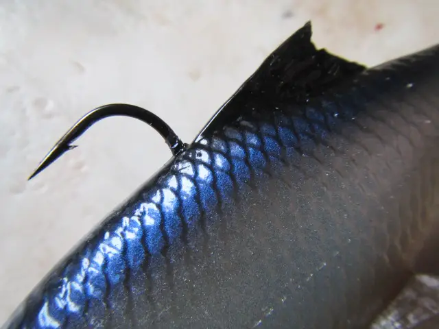 leurre souple monté Savage gear 3D pulsetail roach 10cm