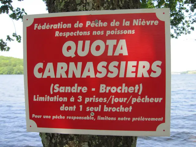 quota carnassier