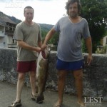 Une  truite de 1m05 pêchée dans la Loue à Vuillafans